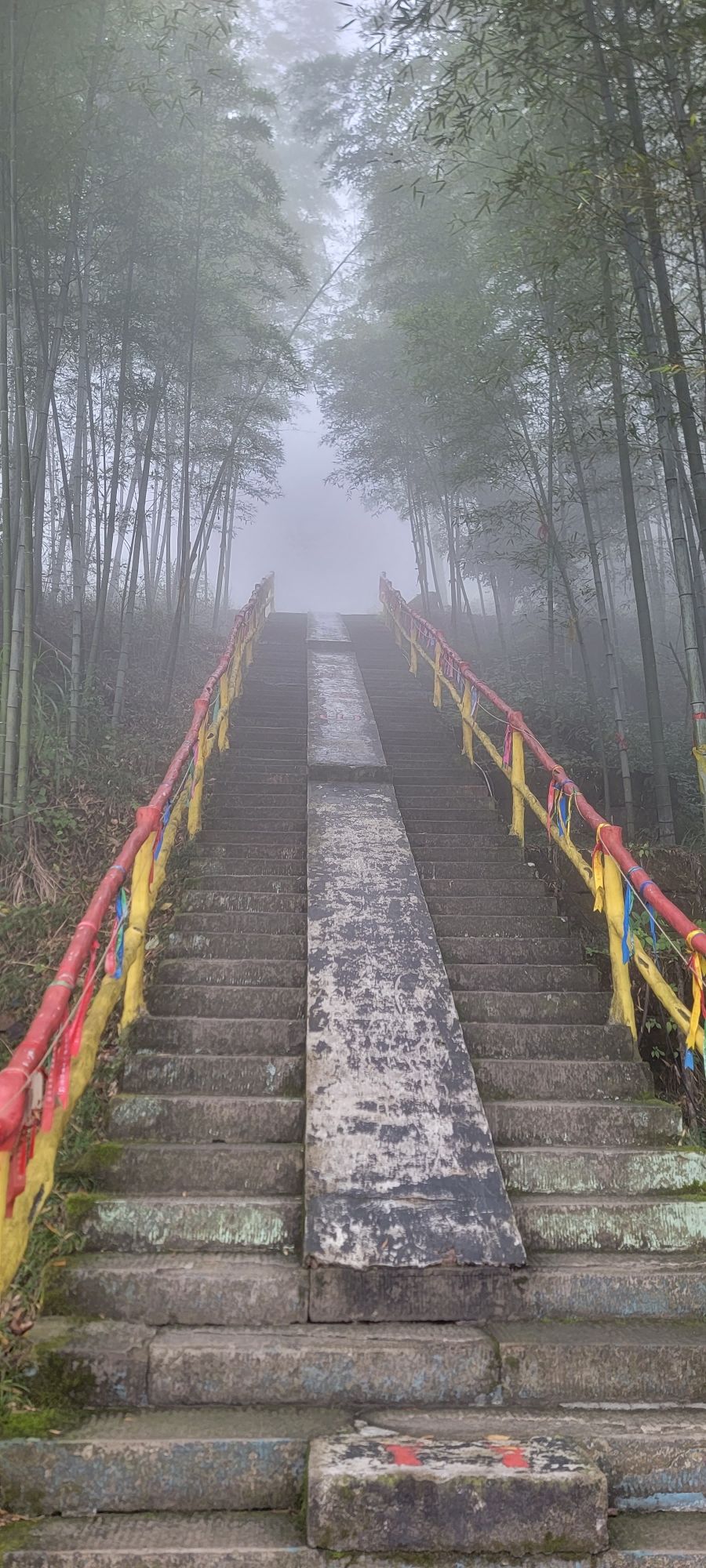 圣灯山原始森林公园旅行图片 1
