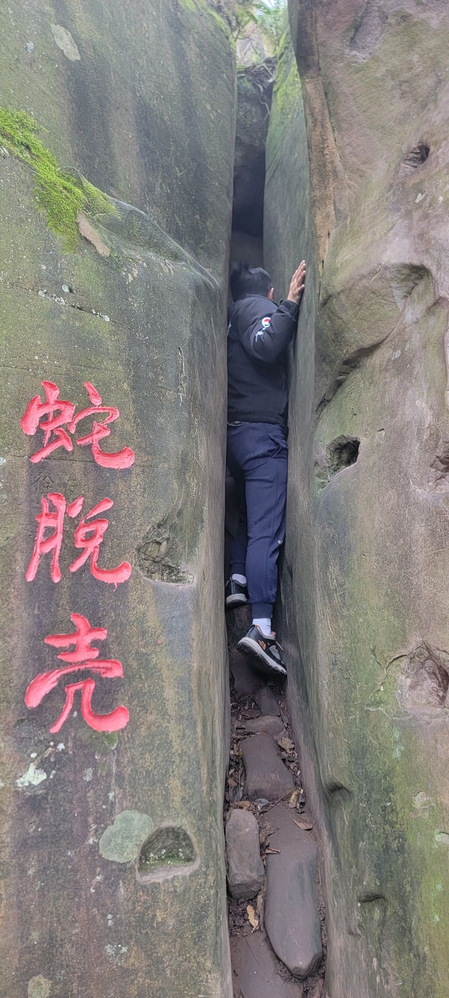 圣灯山原始森林公园旅行图片 2