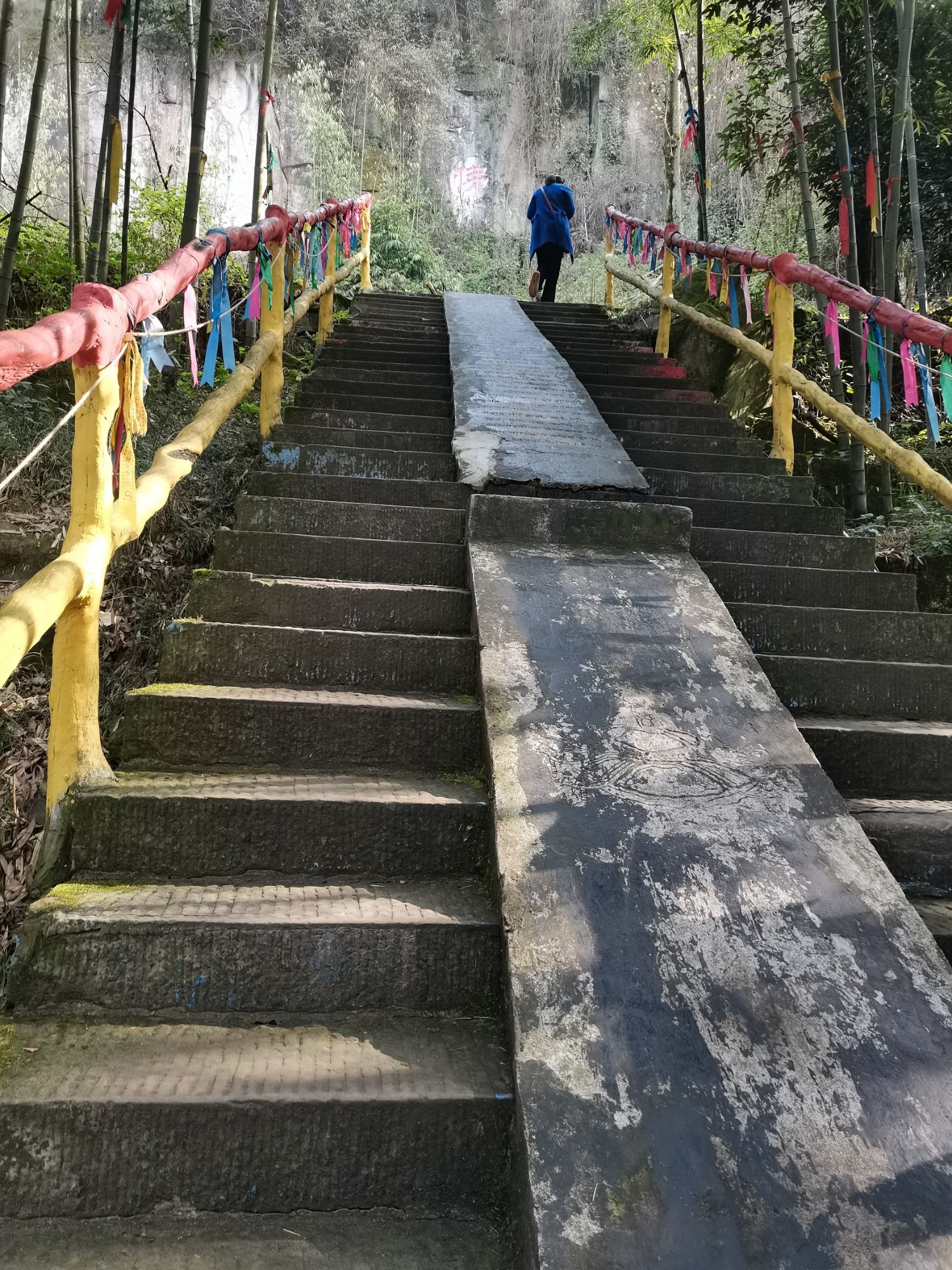 圣灯山原始森林公园旅行图片 3