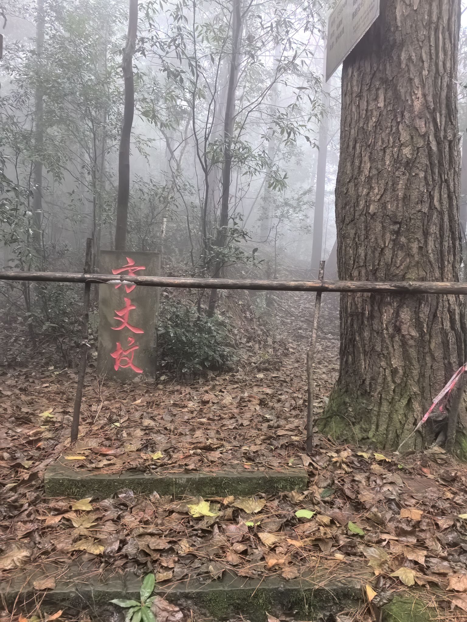 圣灯山原始森林公园旅行图片 1