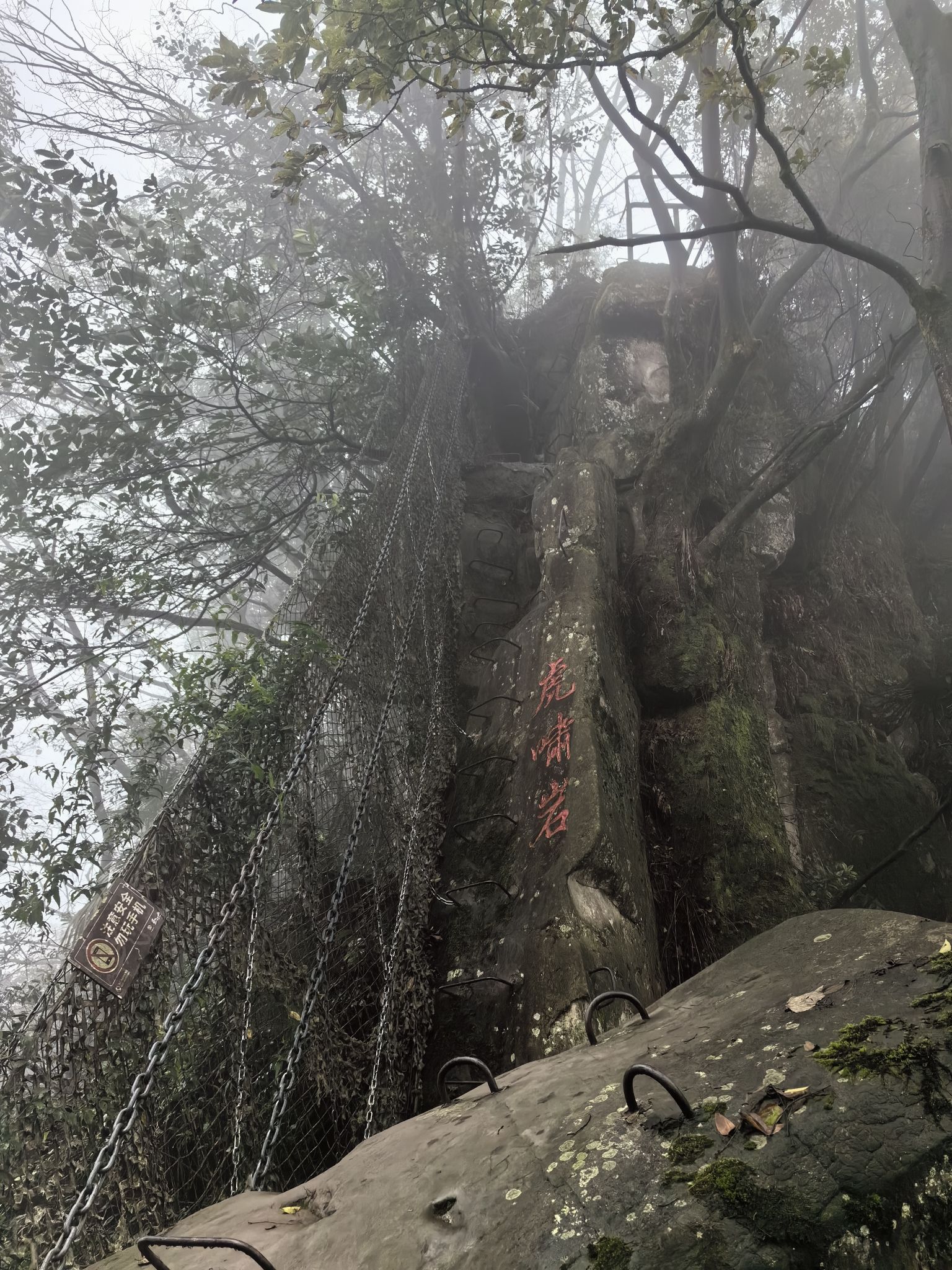 圣灯山原始森林公园旅行图片 2