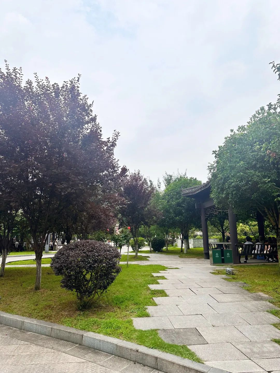花山公园旅行图片 3