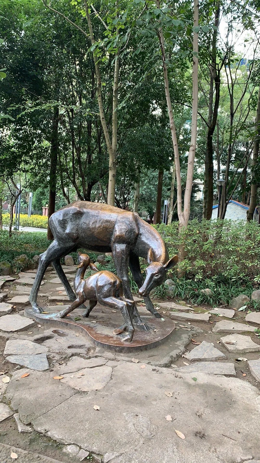 花山公园旅行图片 1