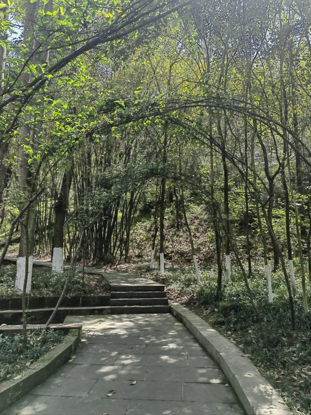 花山公园旅行图片 2