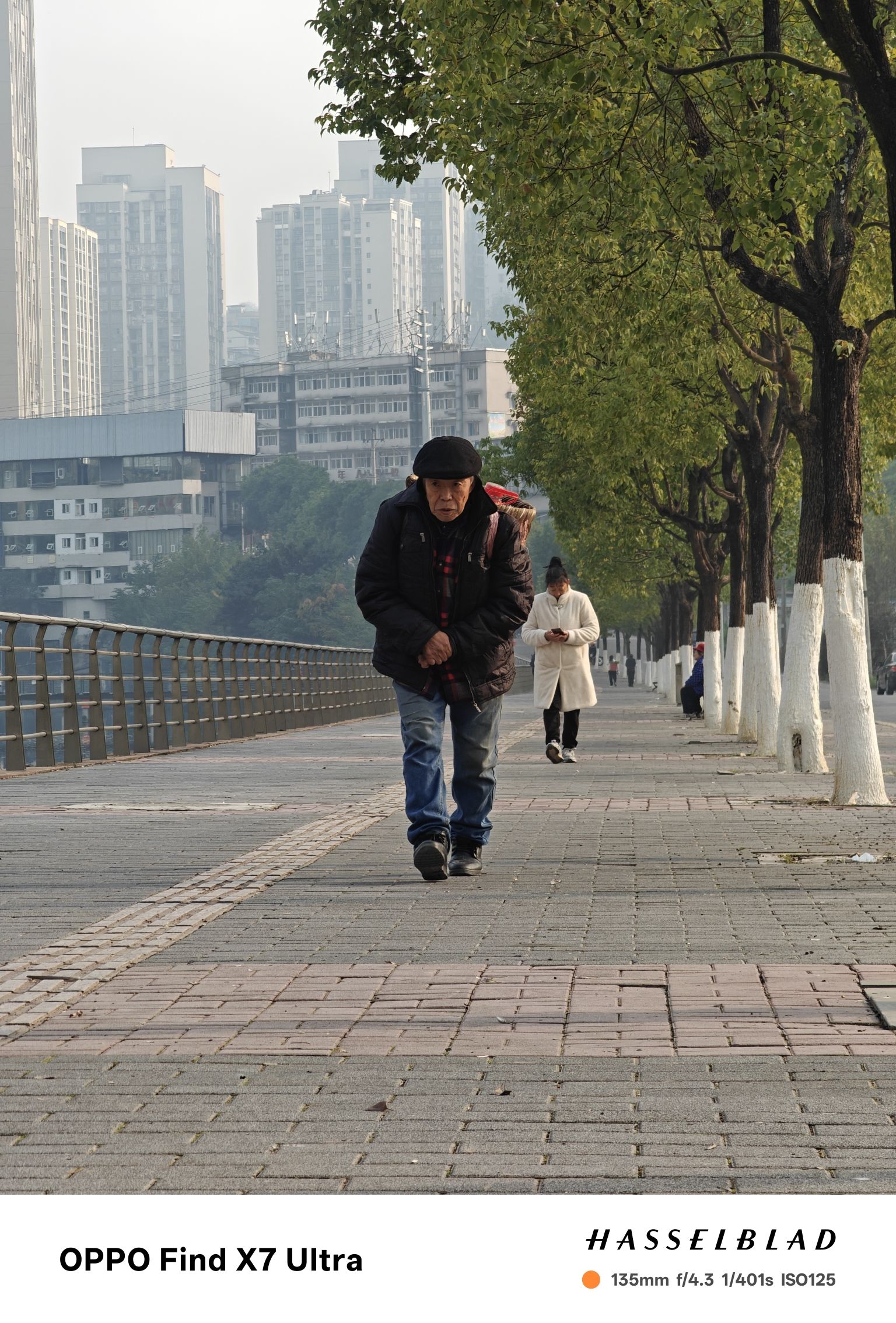 天子湖公园旅行图片 2