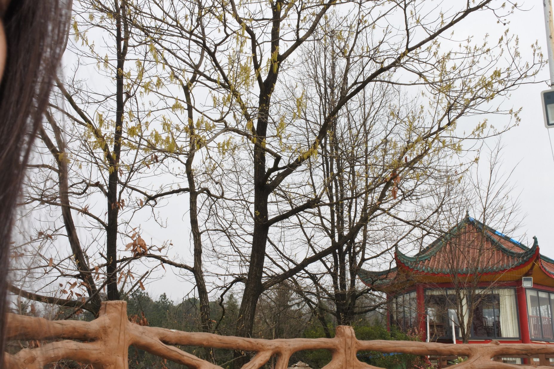 龙冠自然风景区旅行图片 2
