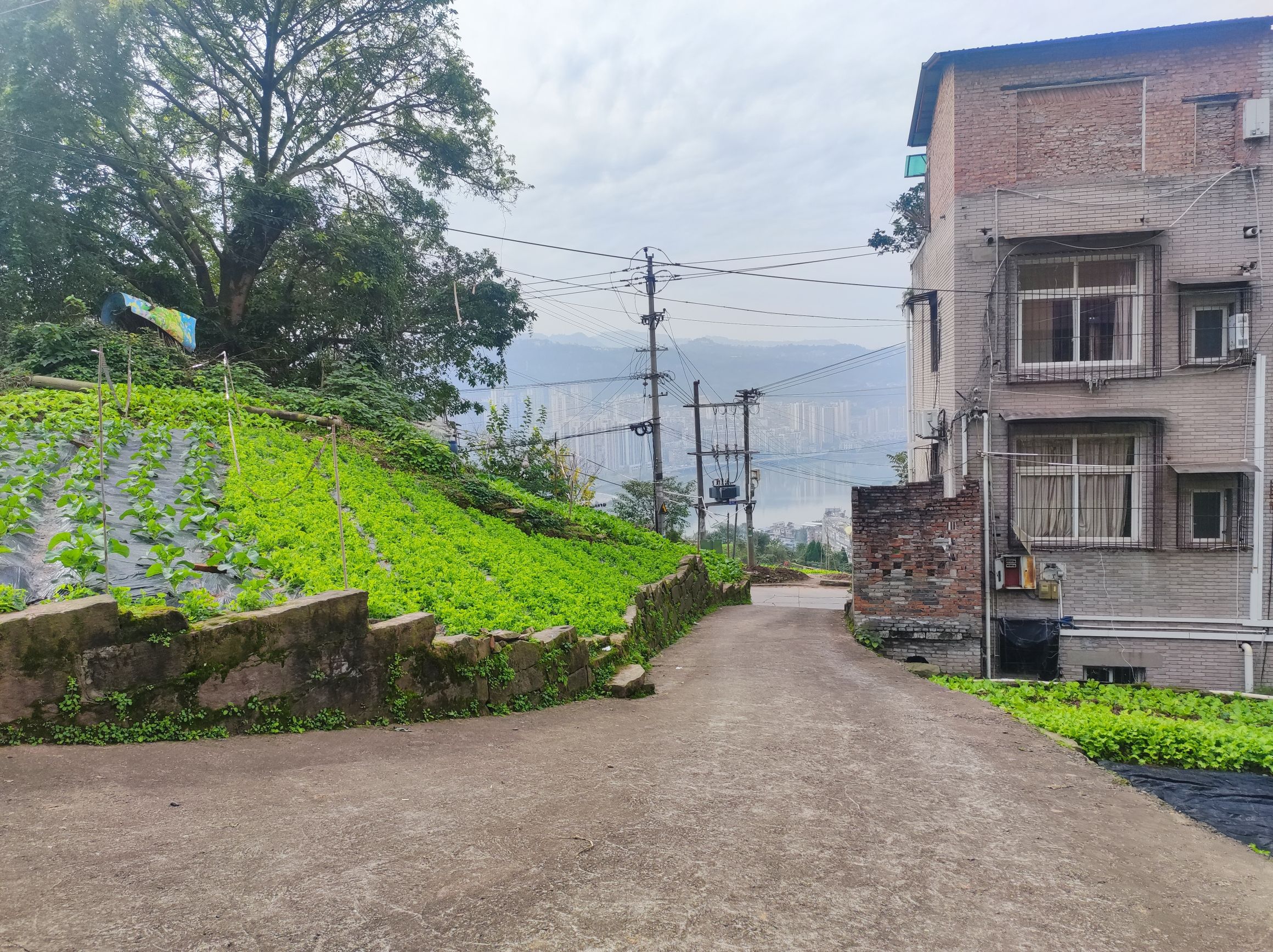 北山观公园旅行图片 2