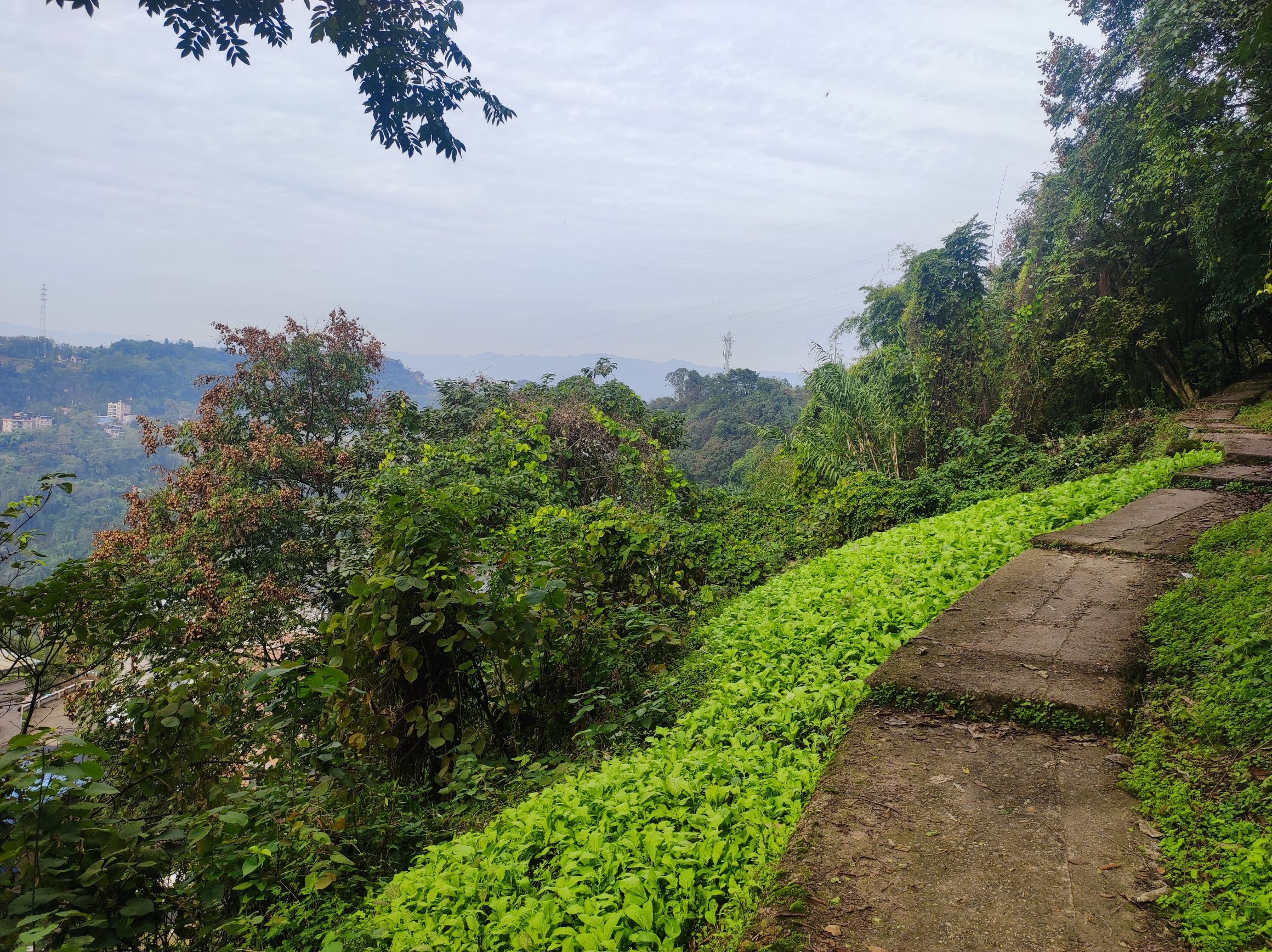 北山观公园