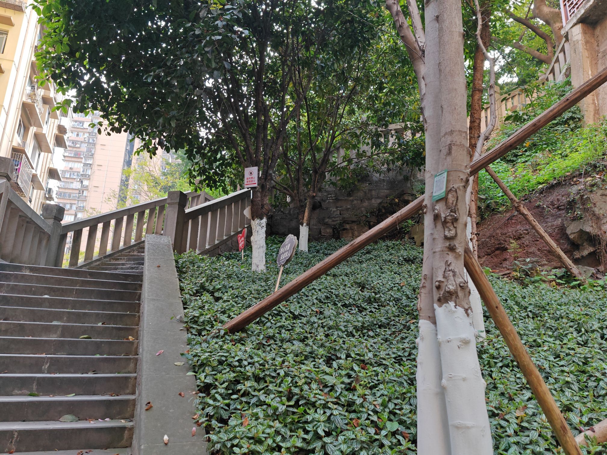 人民公园旅行图片 3