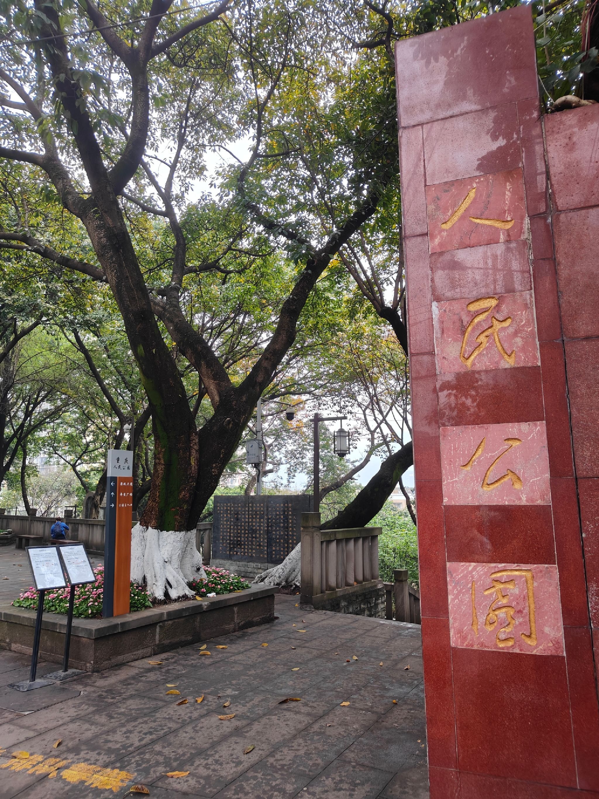 人民公园旅行图片 1