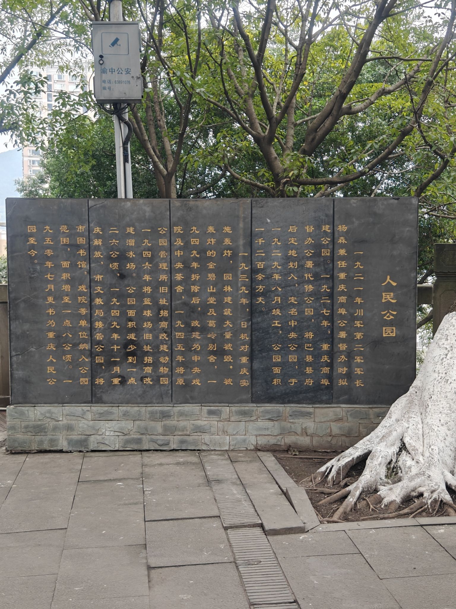 人民公园旅行图片 2