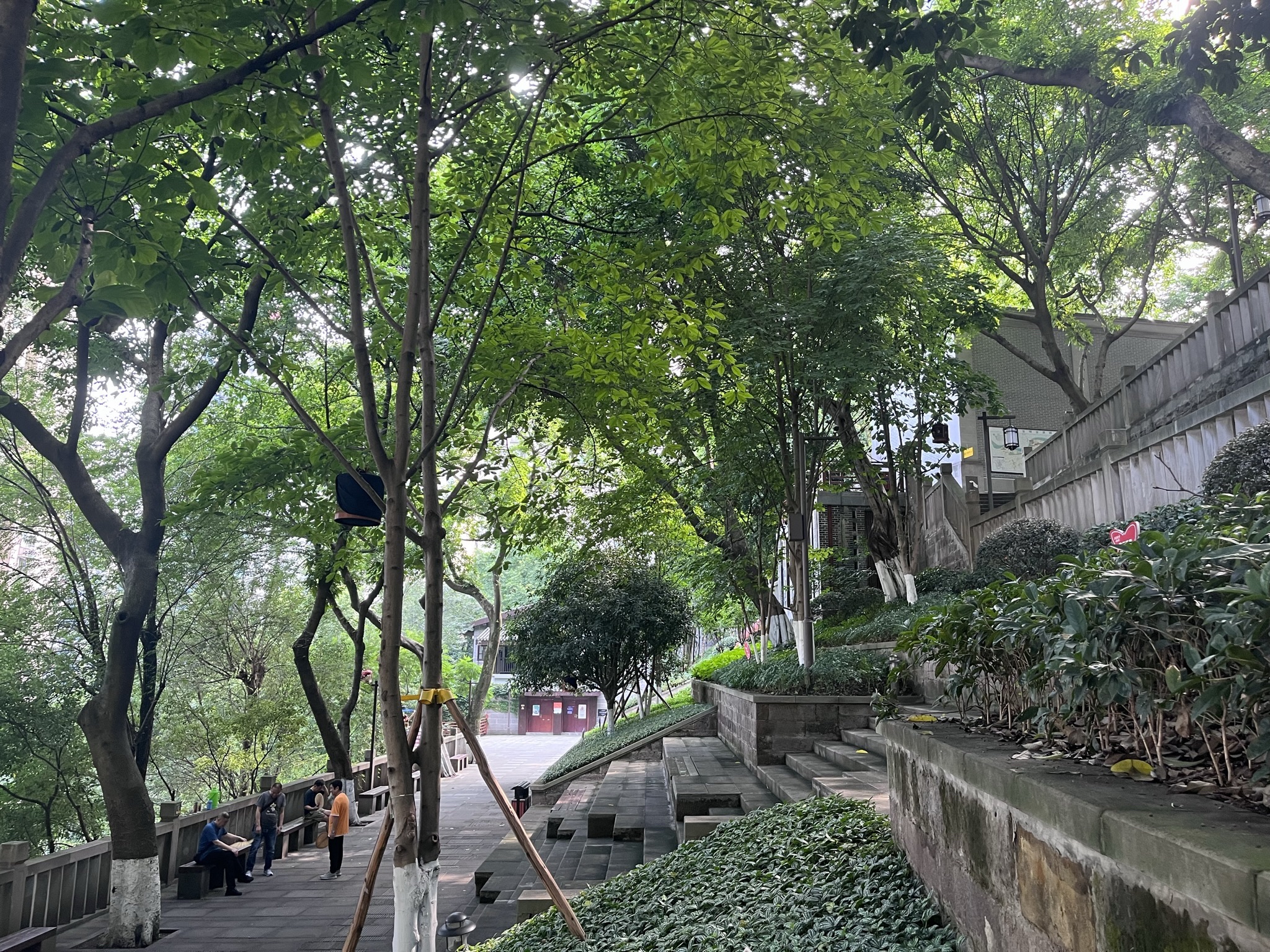 人民公园旅行图片 1