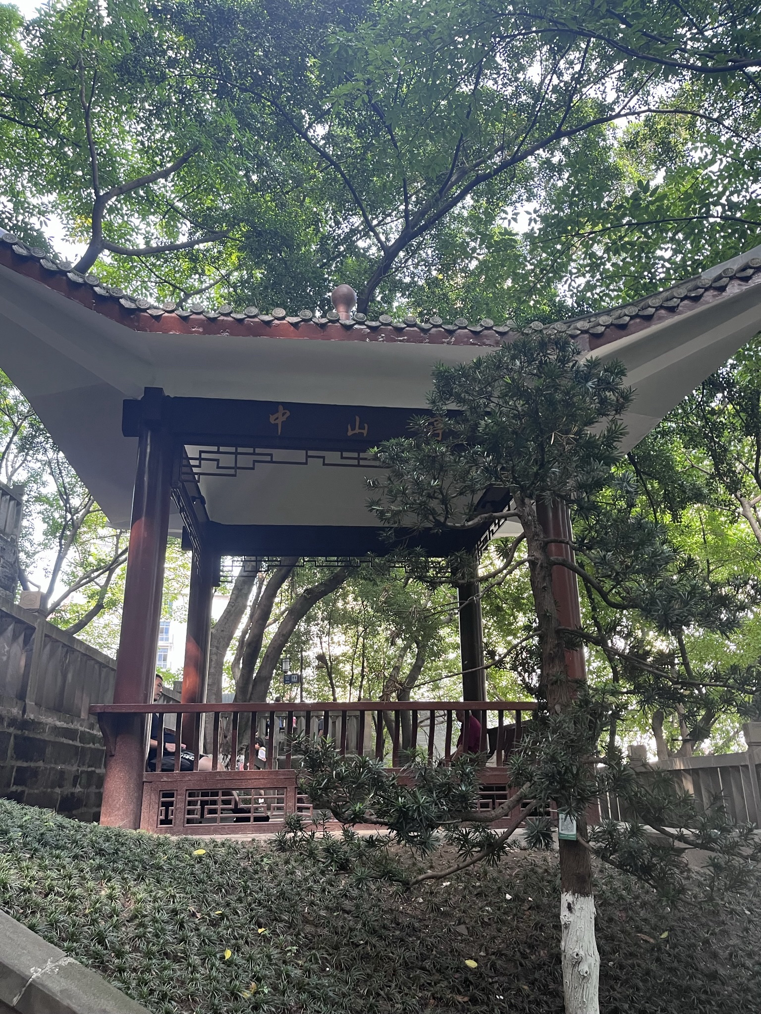 人民公园旅行图片 2