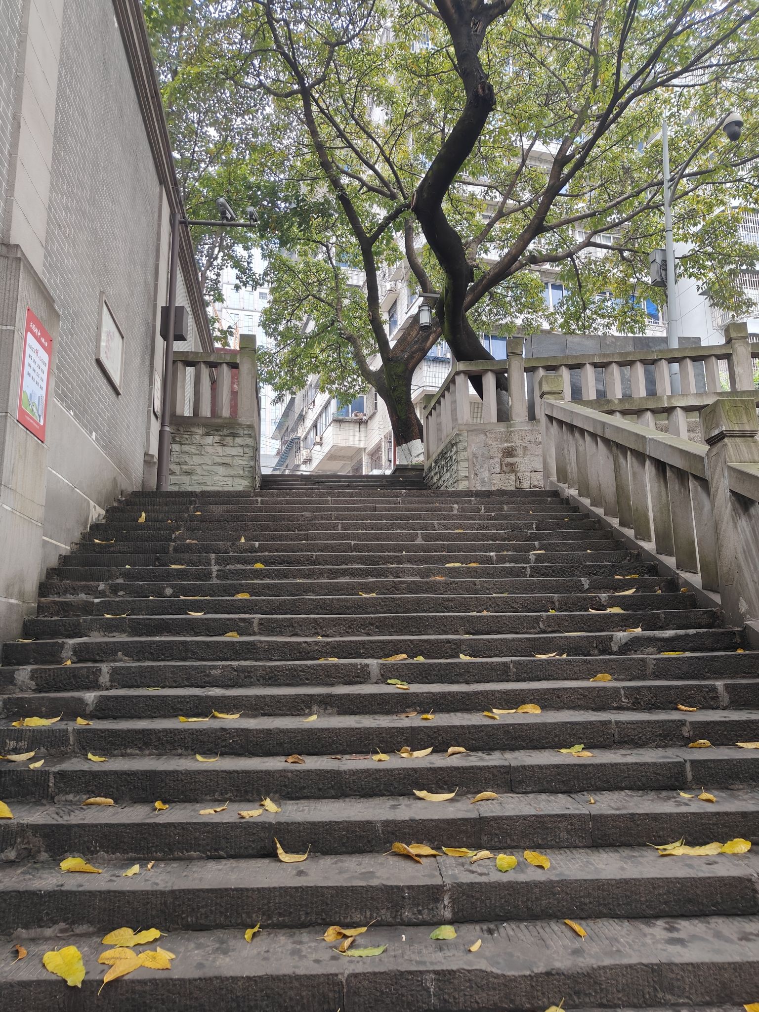 人民公园旅行图片 3