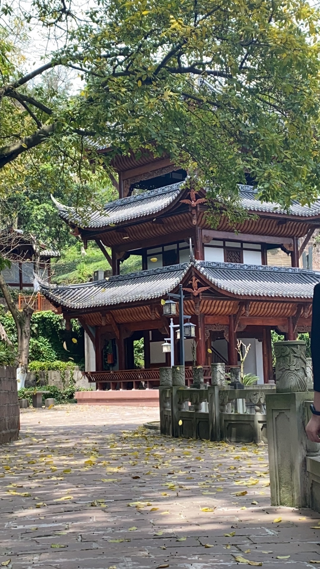 凤山公园(民主路)旅行图片 2