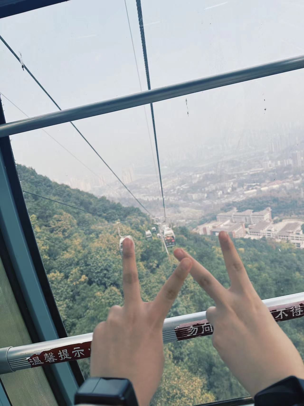 歌乐山国家森林公园旅行图片 3
