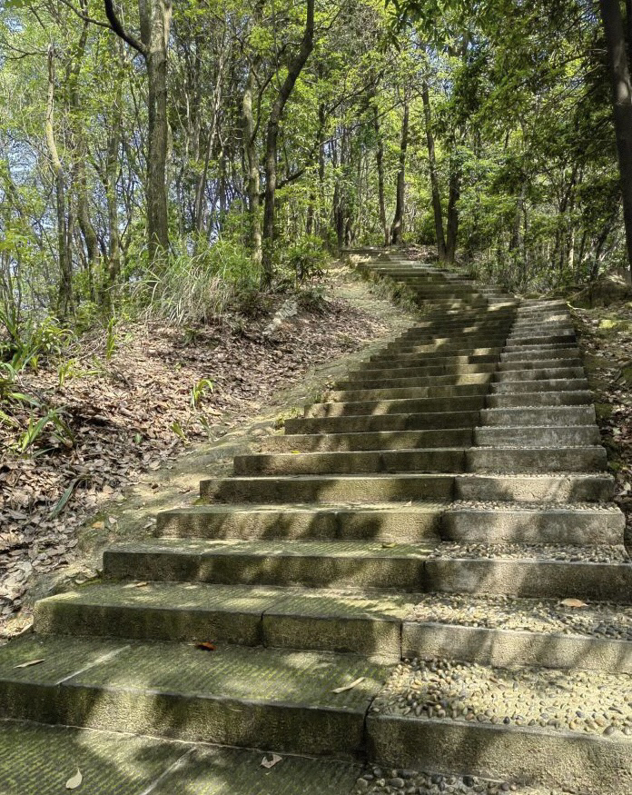 歌樂山國家森林公園