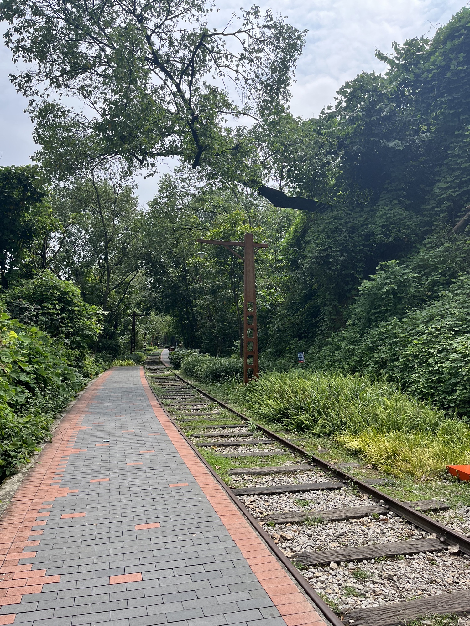 歌乐山国家森林公园旅行图片 3