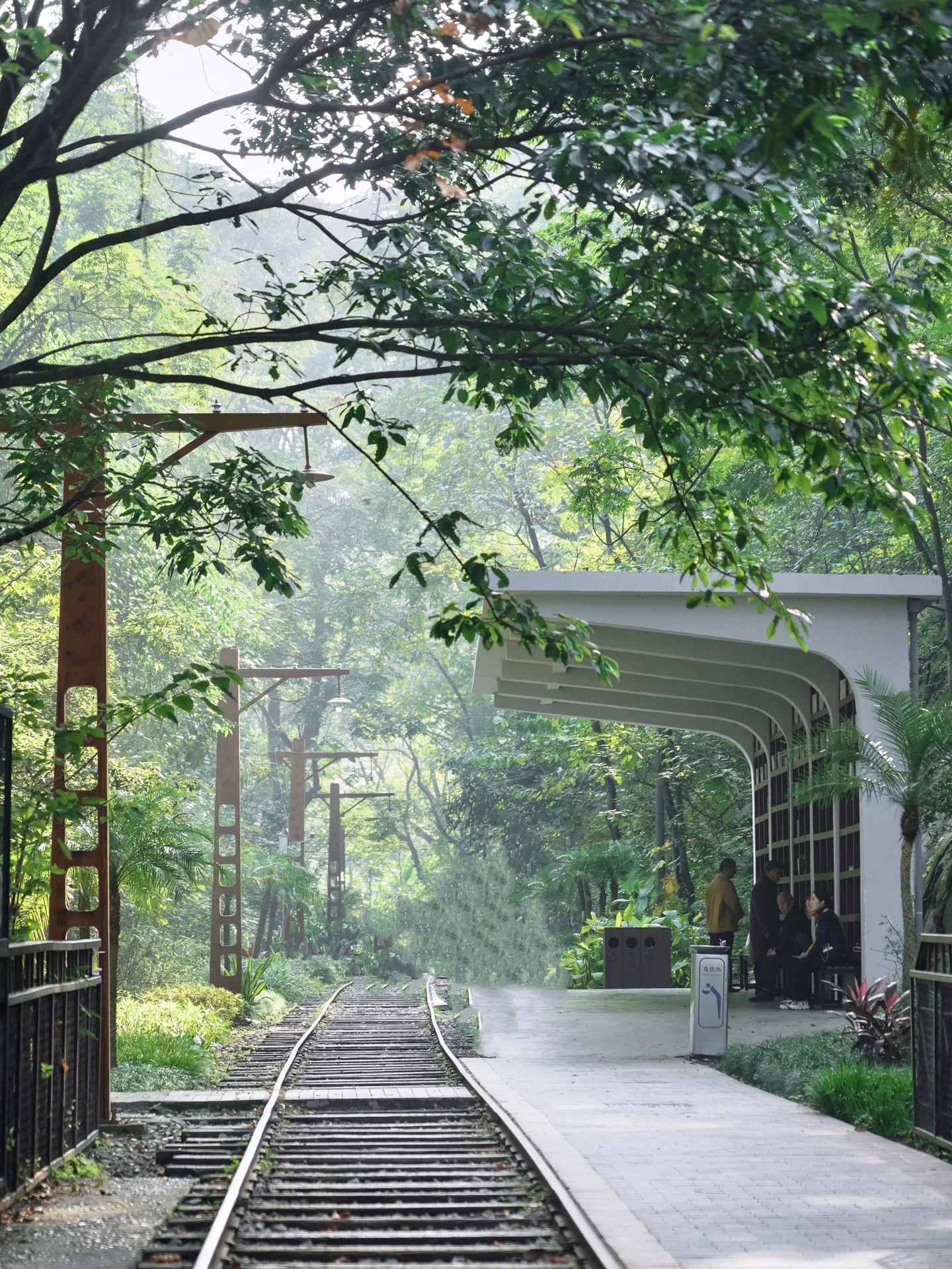 歌乐山国家森林公园旅行图片 2