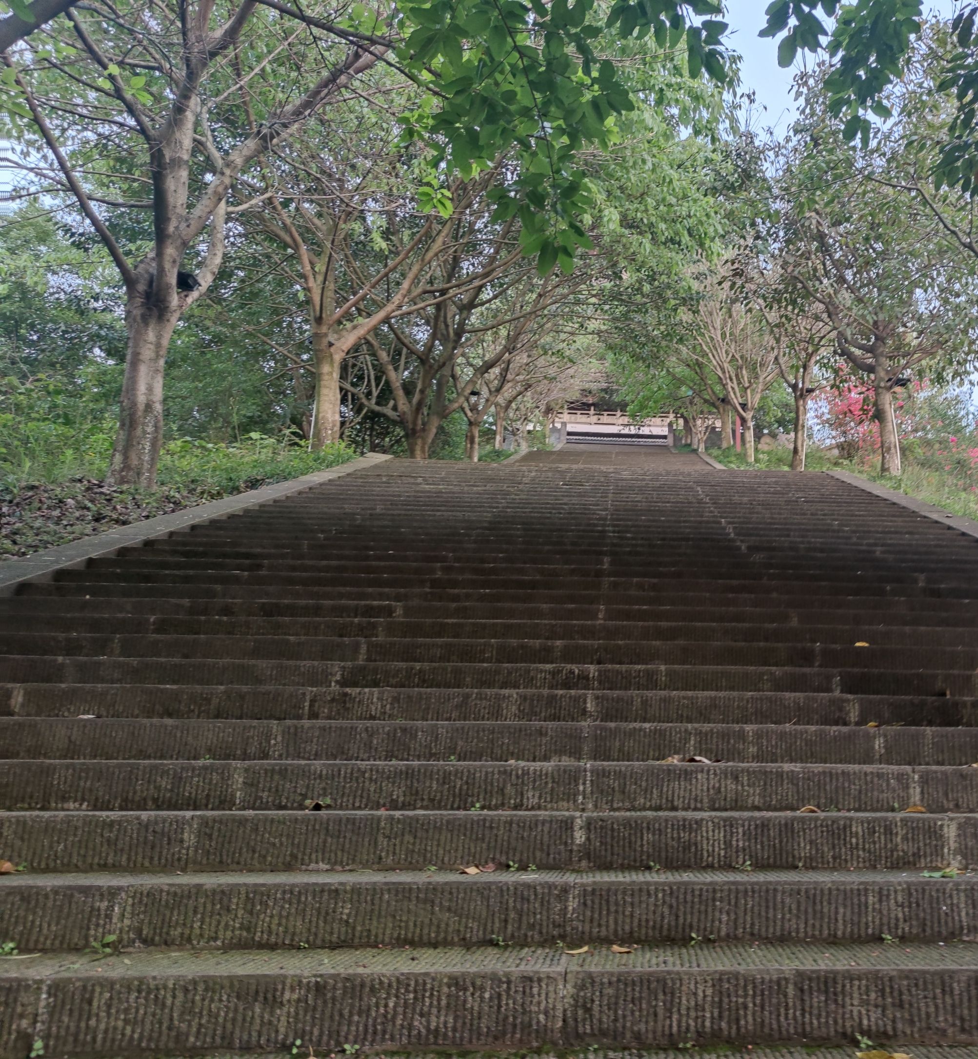 海棠公园旅行图片 3
