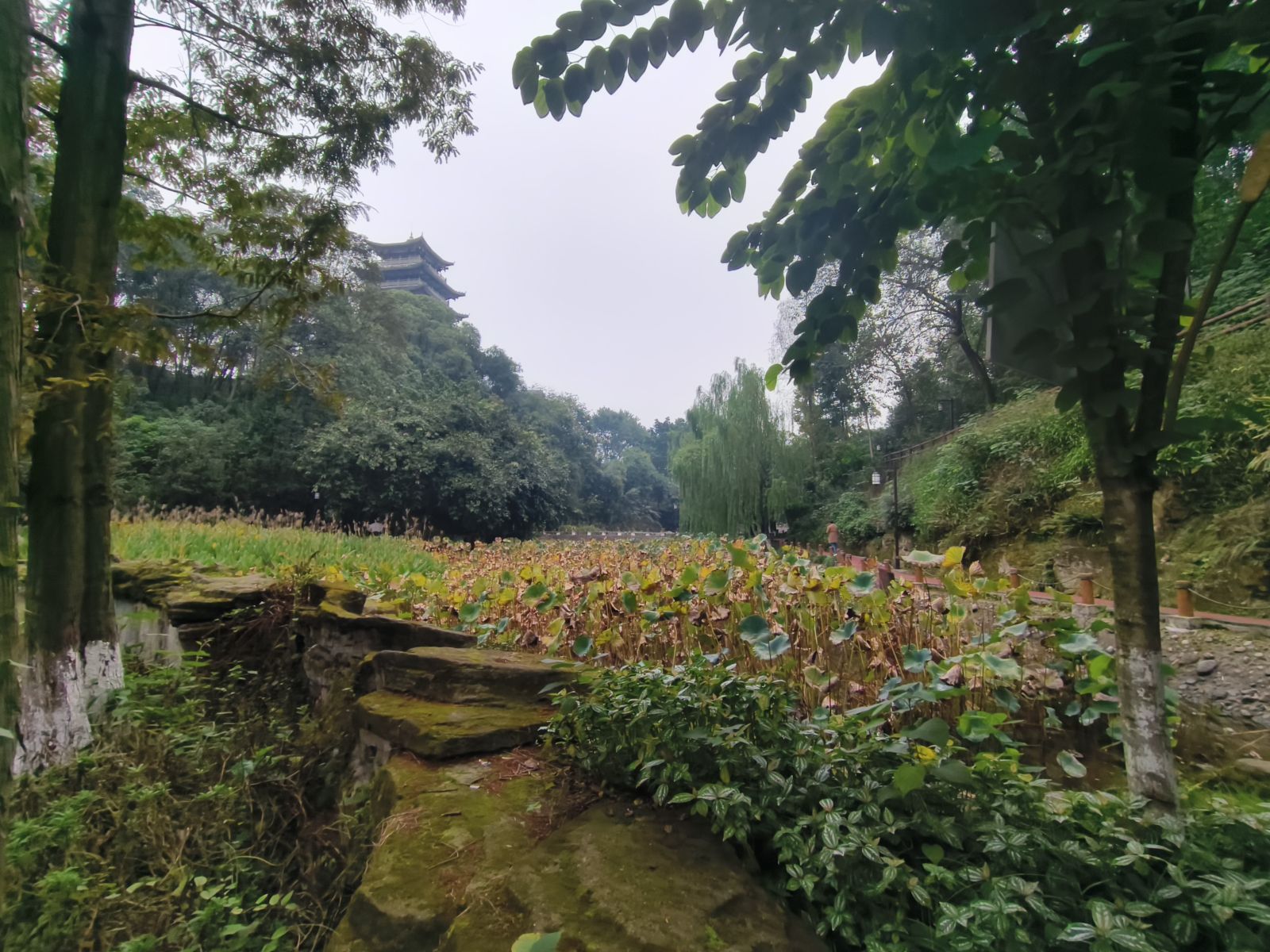 海棠公园旅行图片 2