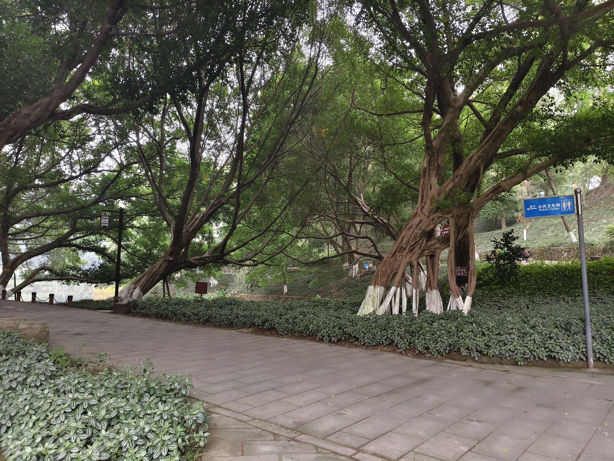 海棠公园旅行图片 3