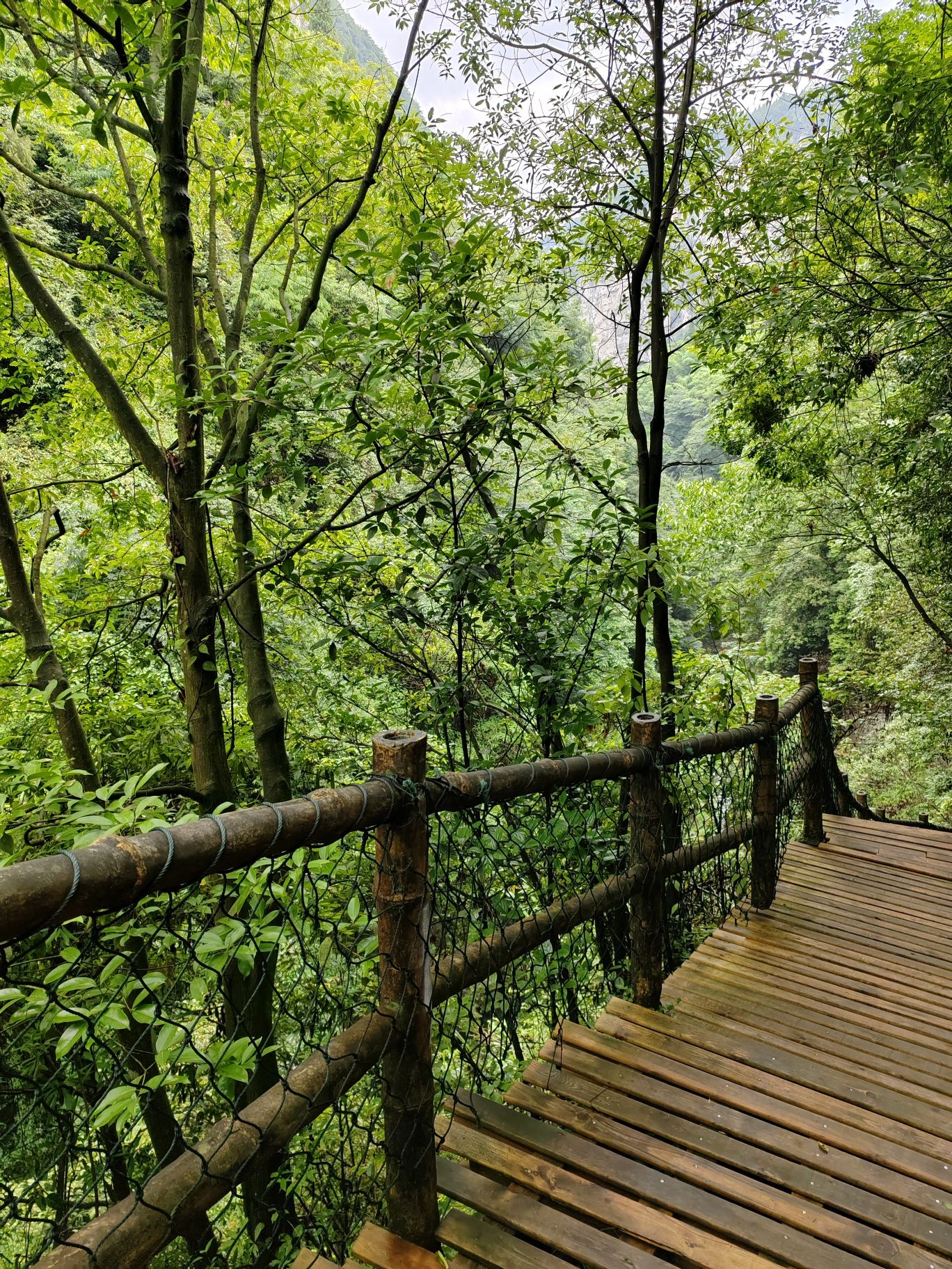 金刀峡自然风景区旅行图片 2