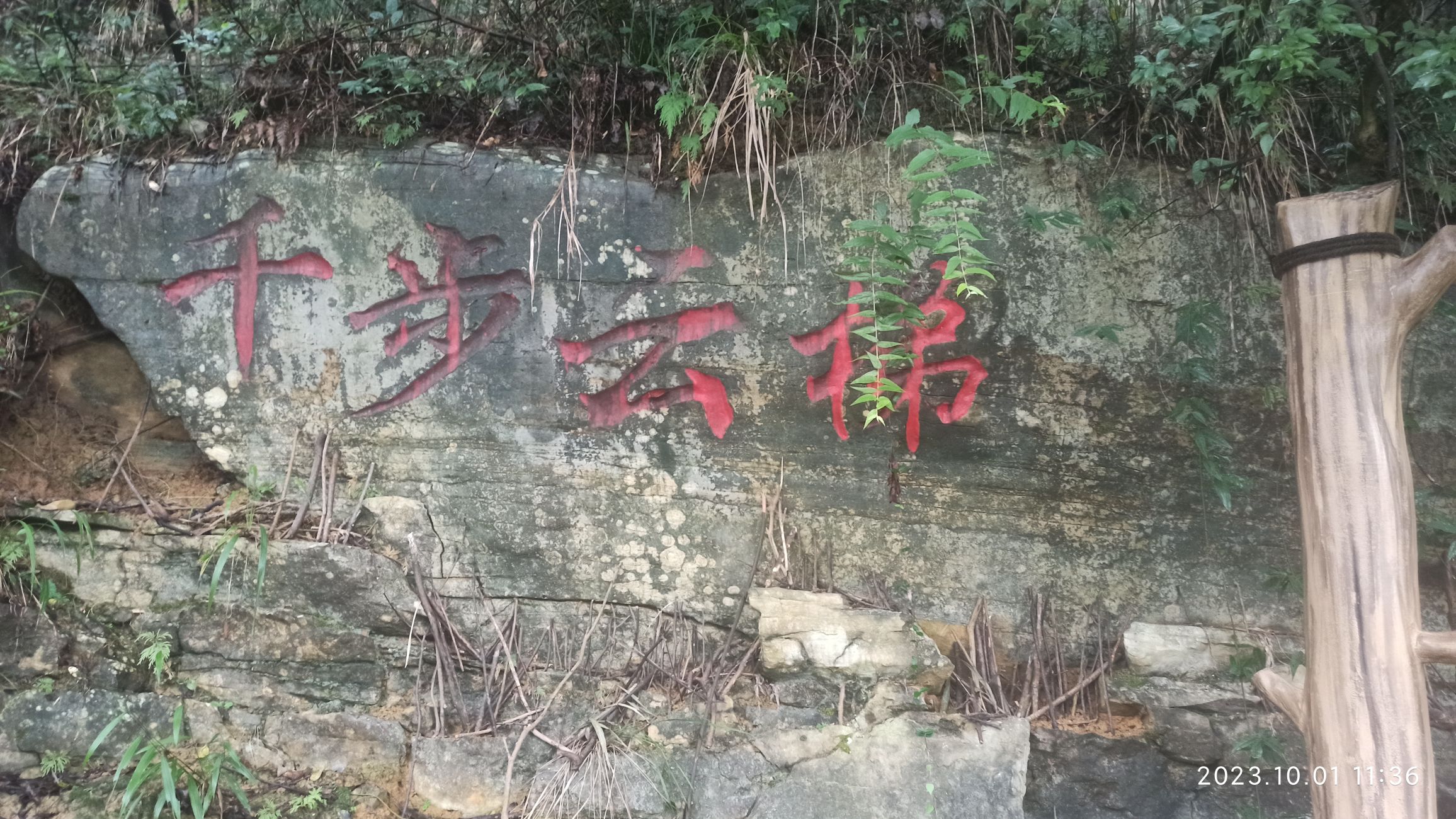 金刀峡自然风景区旅行图片 1