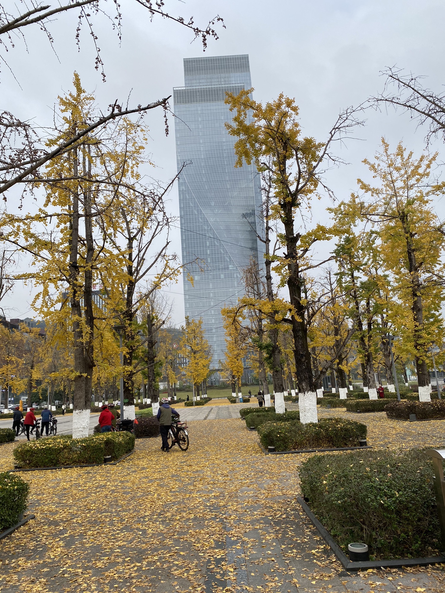 百林公园旅行图片 3