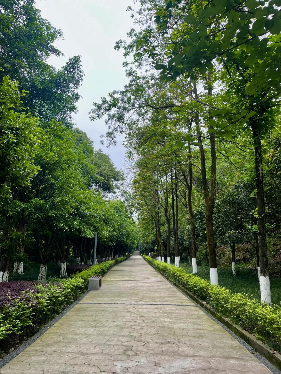 百林公园旅行图片 1