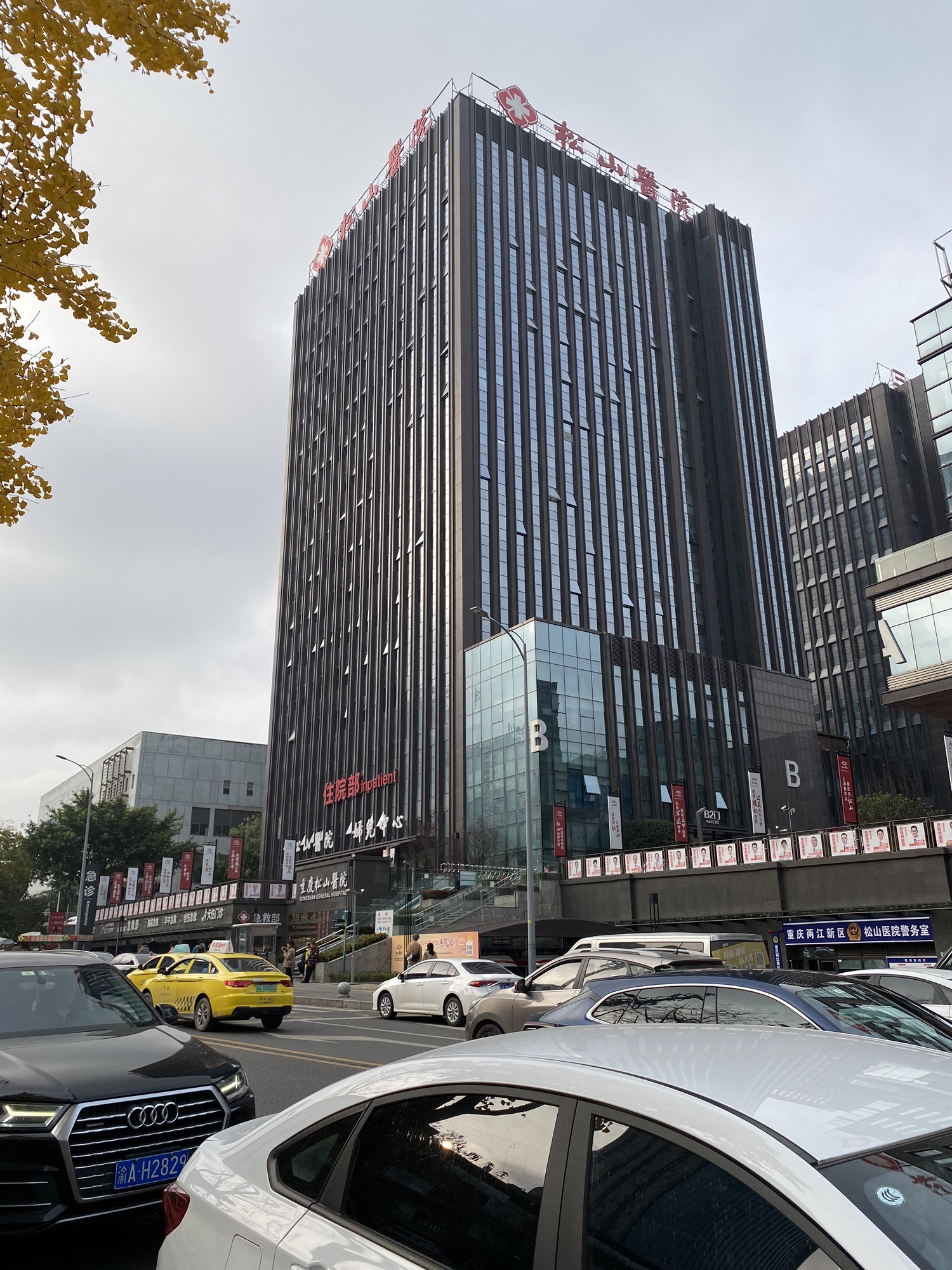 百林公园旅行图片 1