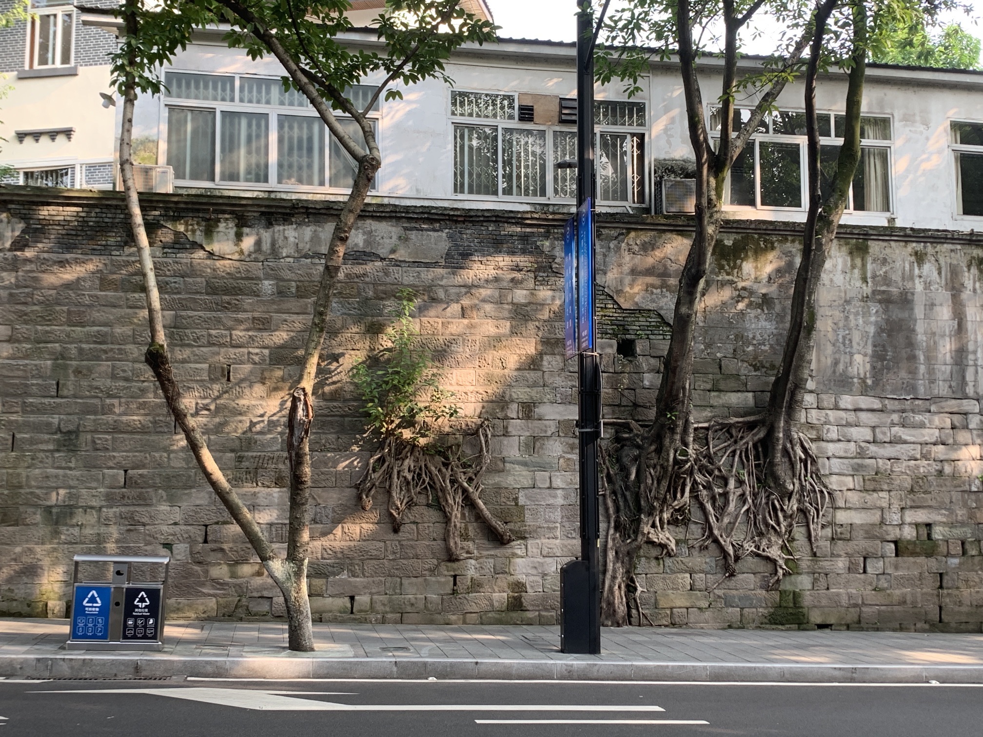 桂园旅行图片 3
