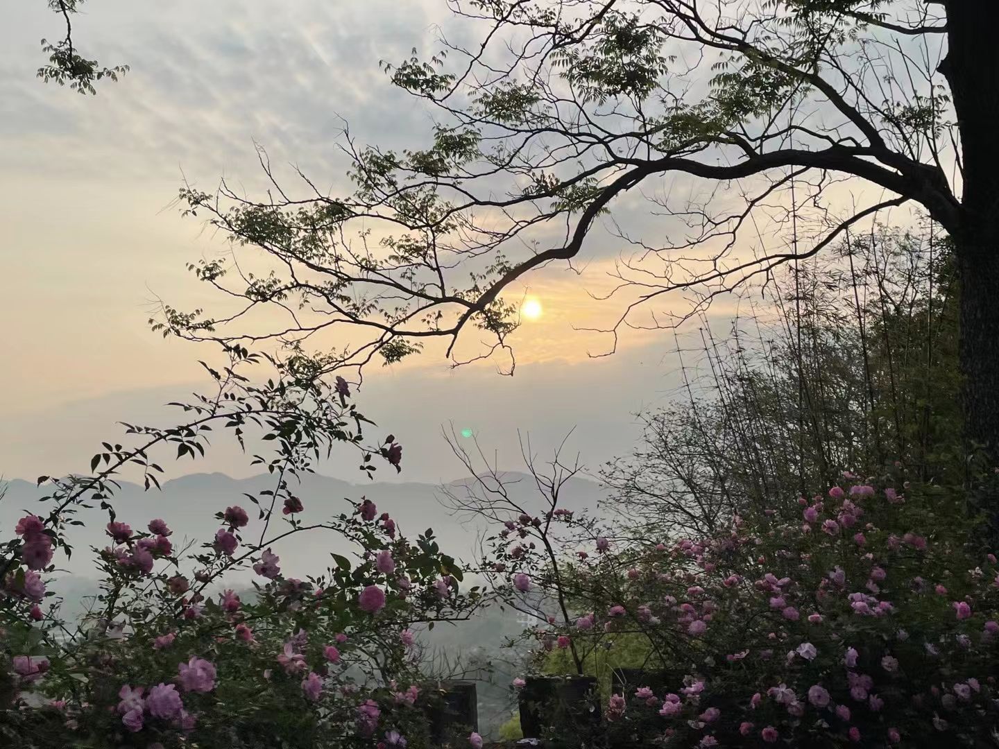 五云山寨旅行图片 1