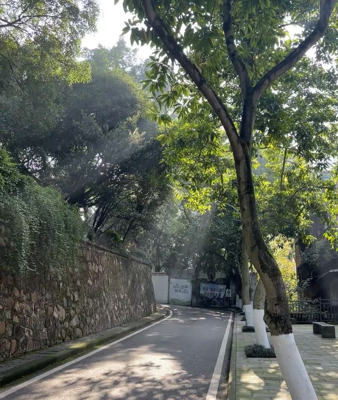 桂山公园旅行图片 1