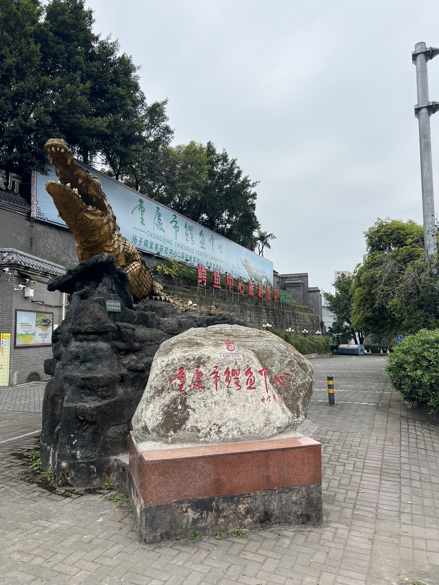 重庆市鳄鱼中心旅行图片 1