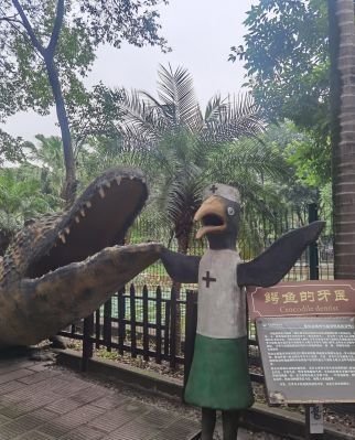 重庆市鳄鱼中心旅行图片 3