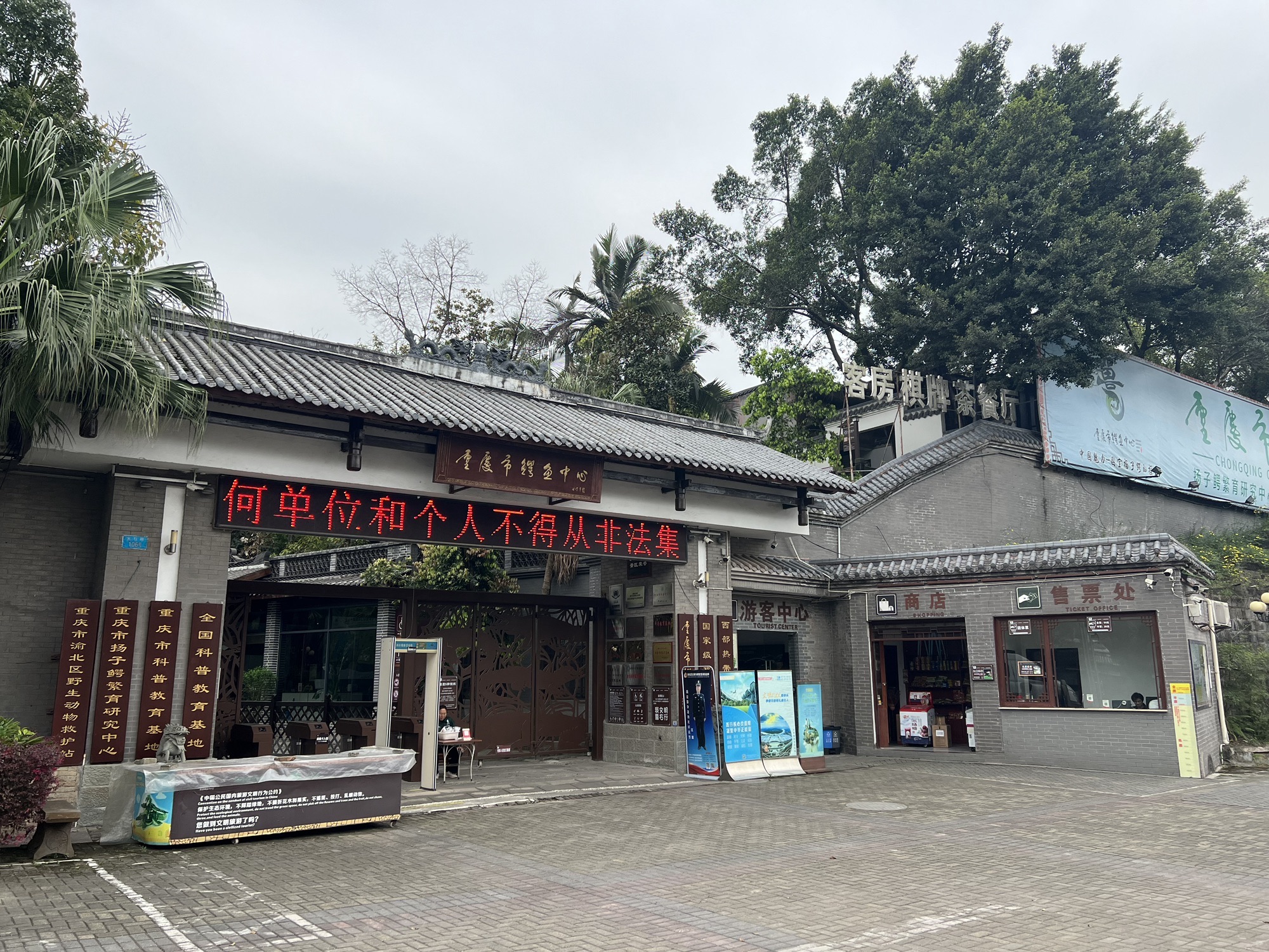 重庆市鳄鱼中心旅行图片 2