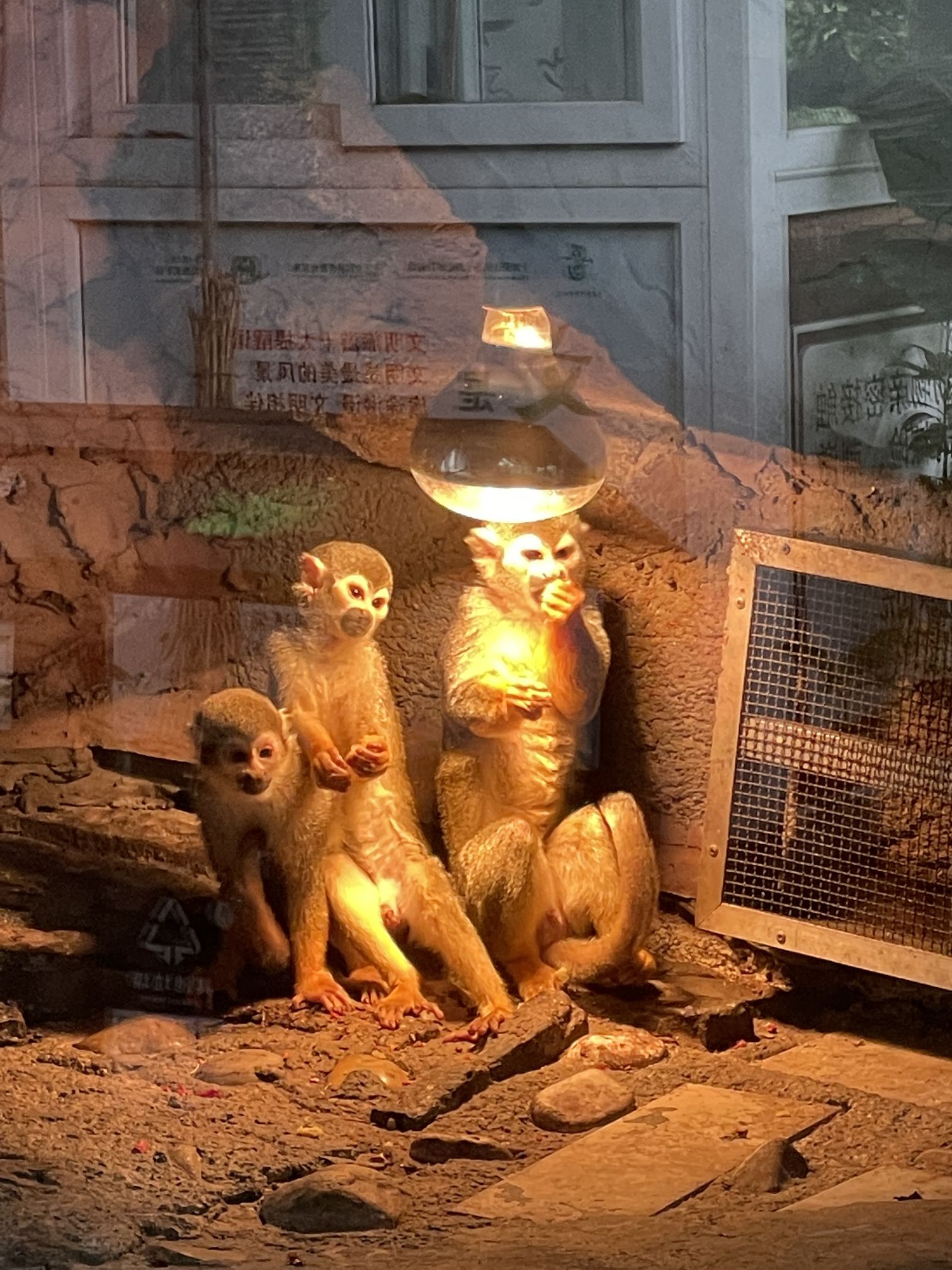 重庆市鳄鱼中心旅行图片 3