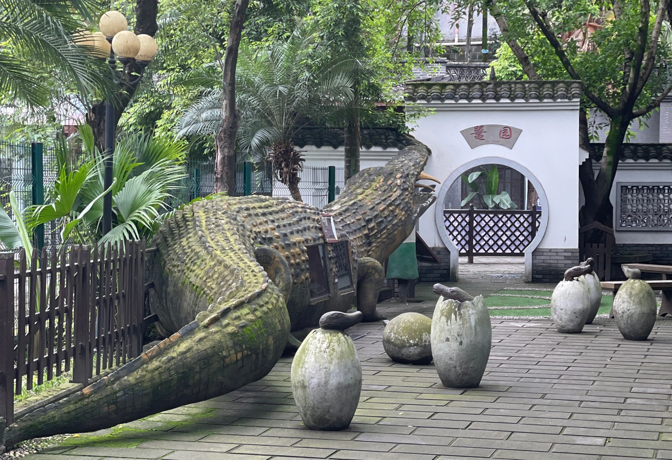 重庆市鳄鱼中心旅行图片 1