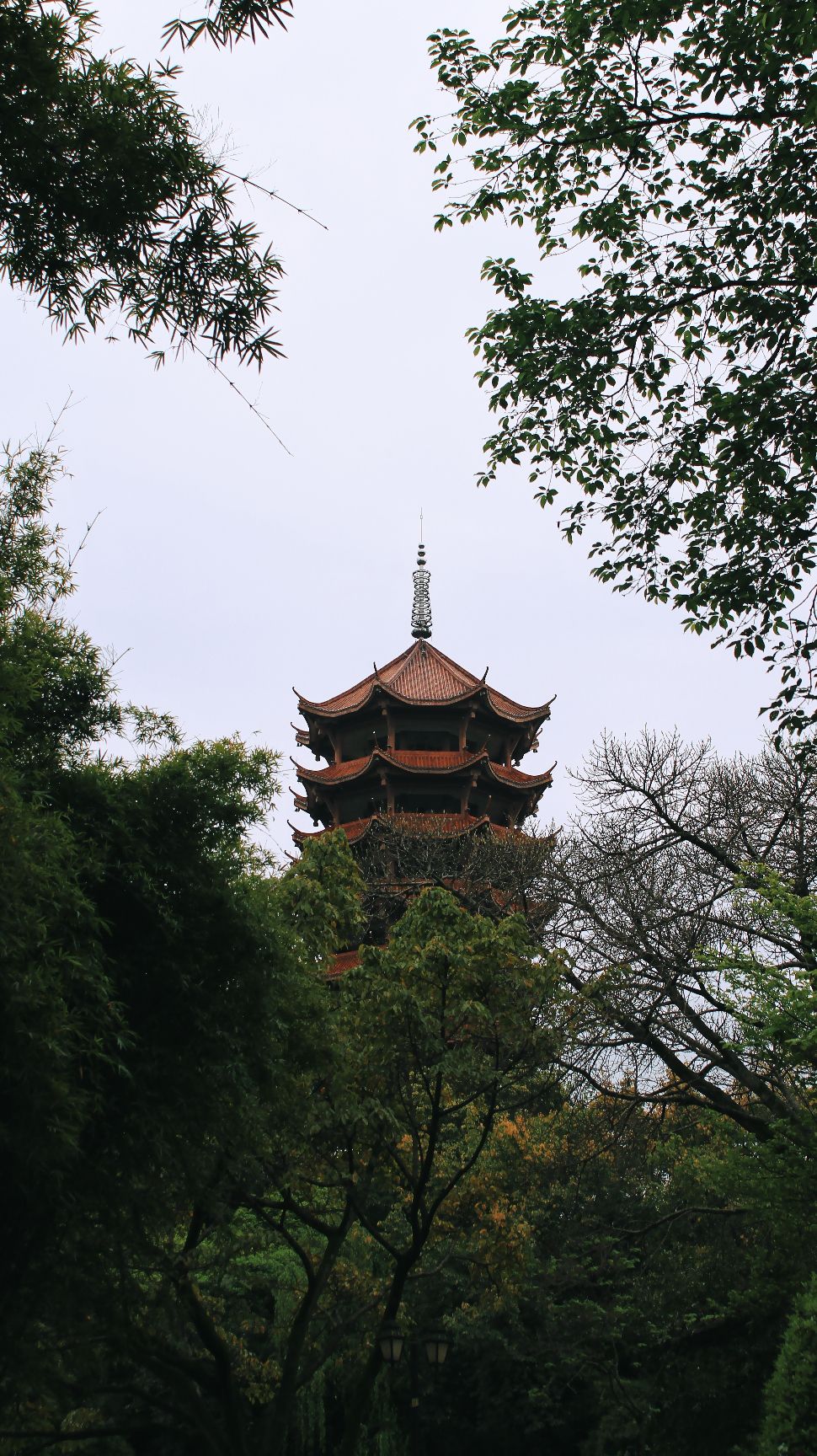 碧津公园旅行图片 1