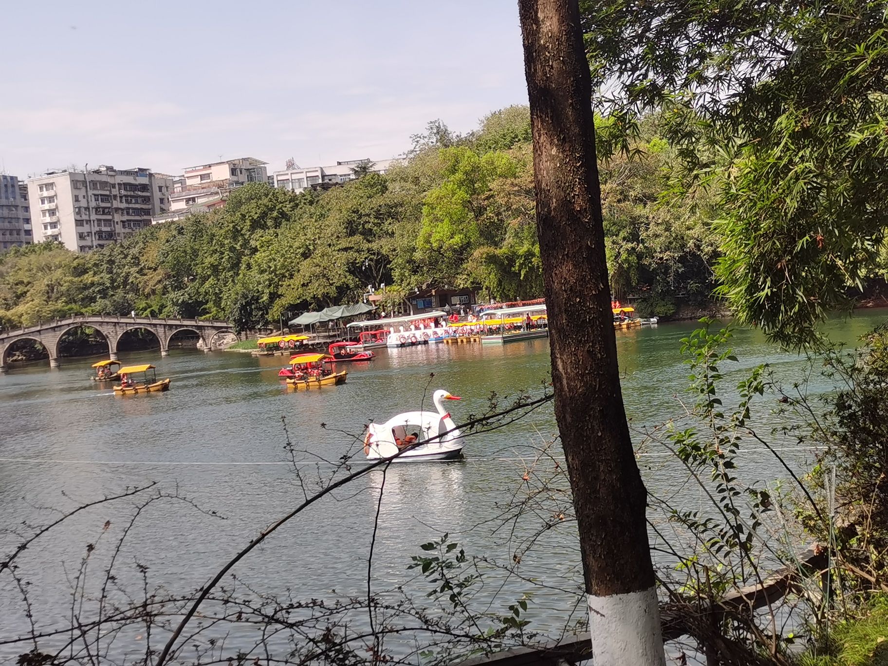 碧津公园旅行图片 2