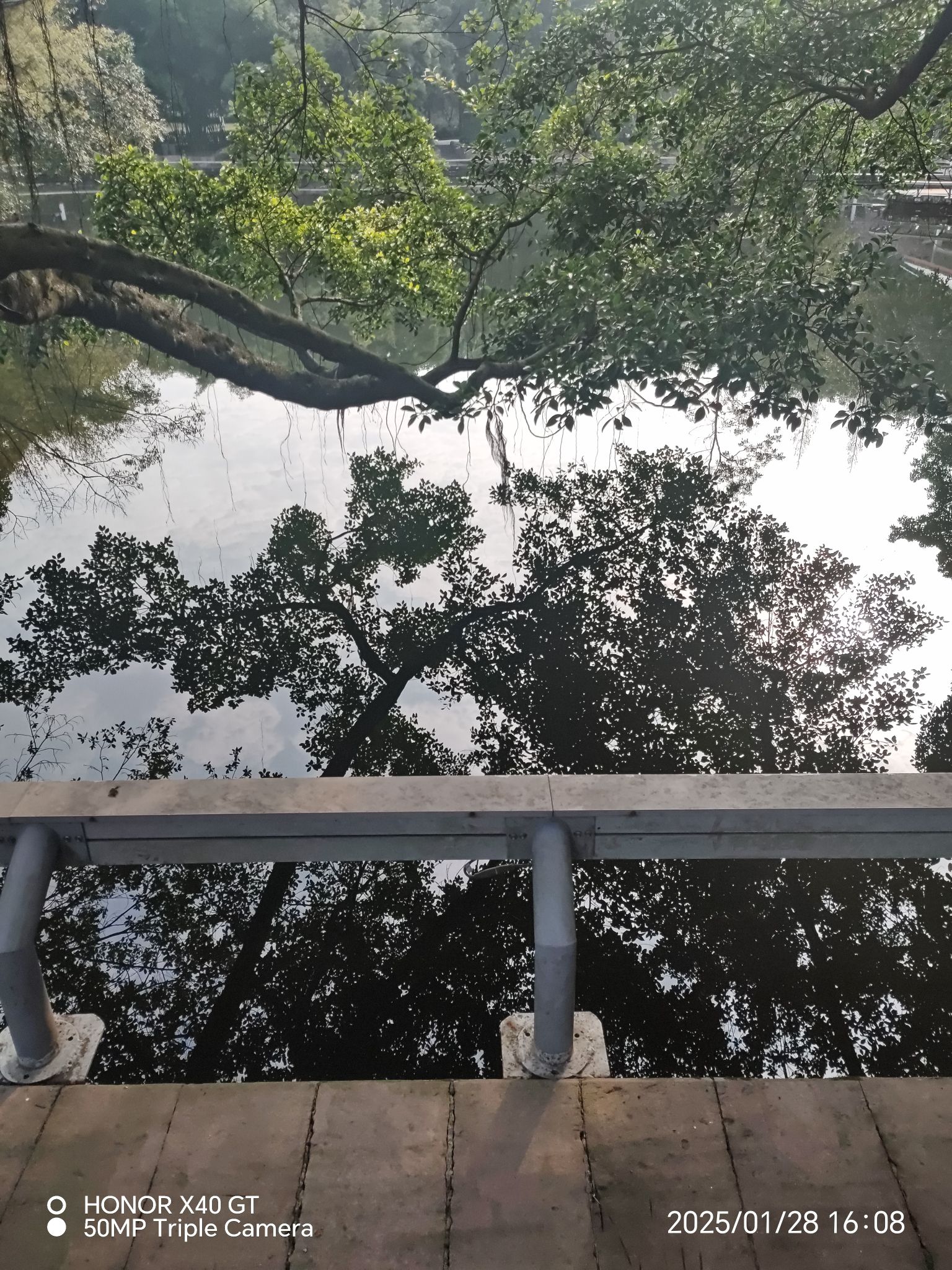 碧津公园旅行图片 1