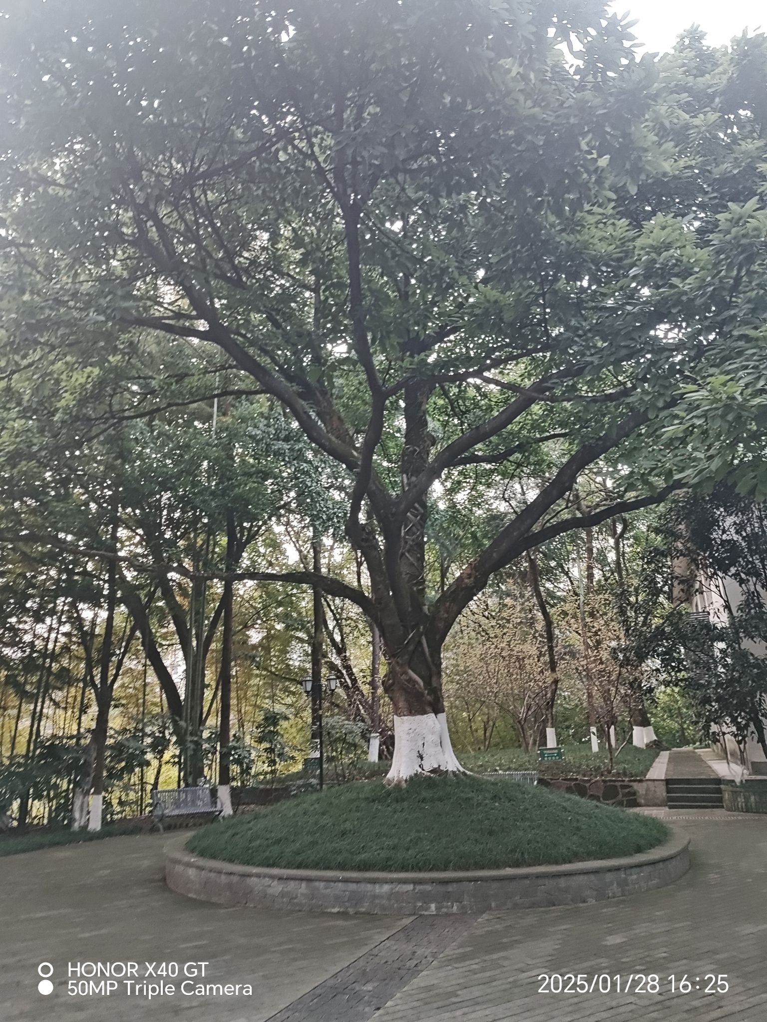 碧津公园旅行图片 2