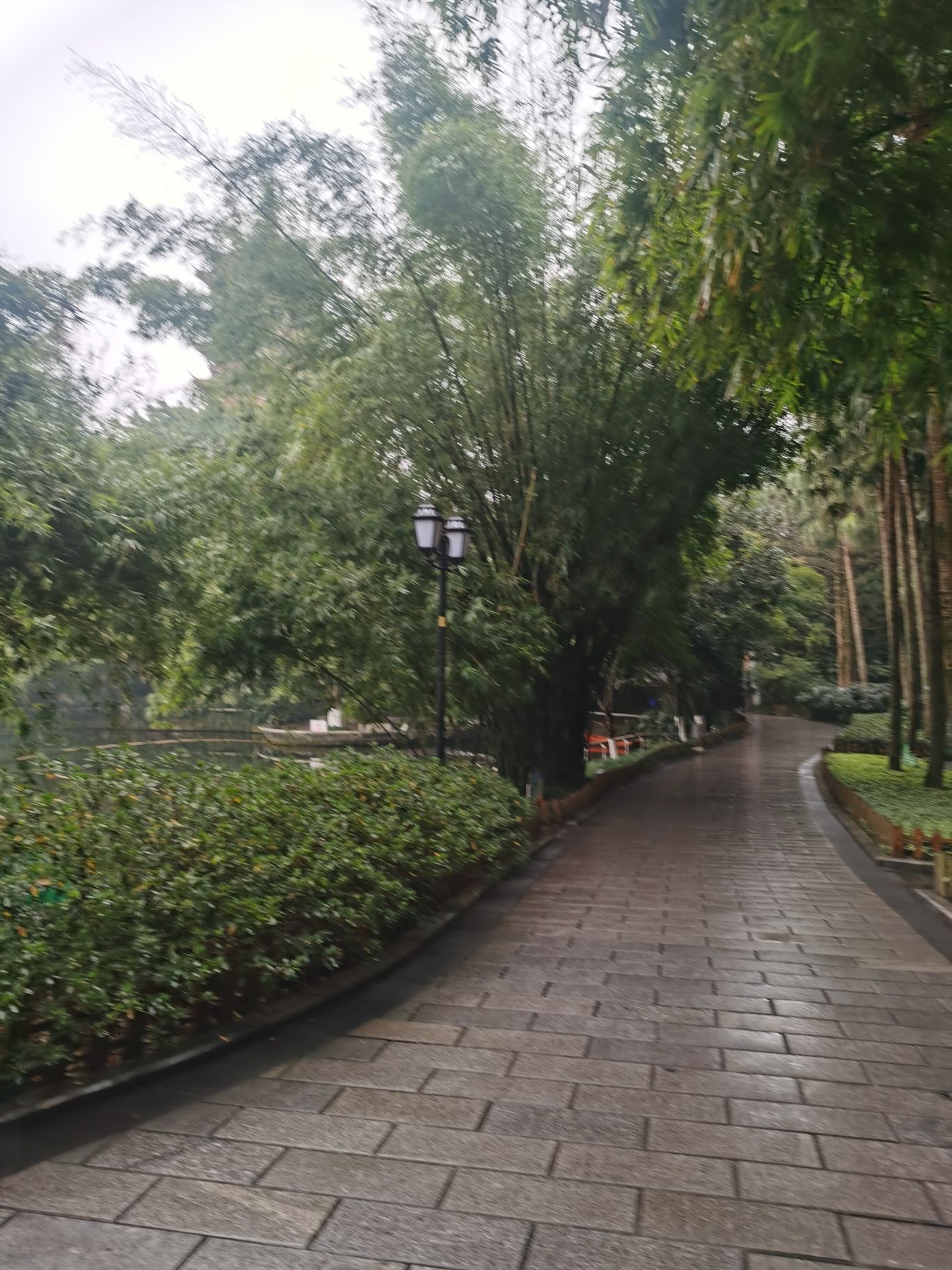 碧津公园旅行图片 3
