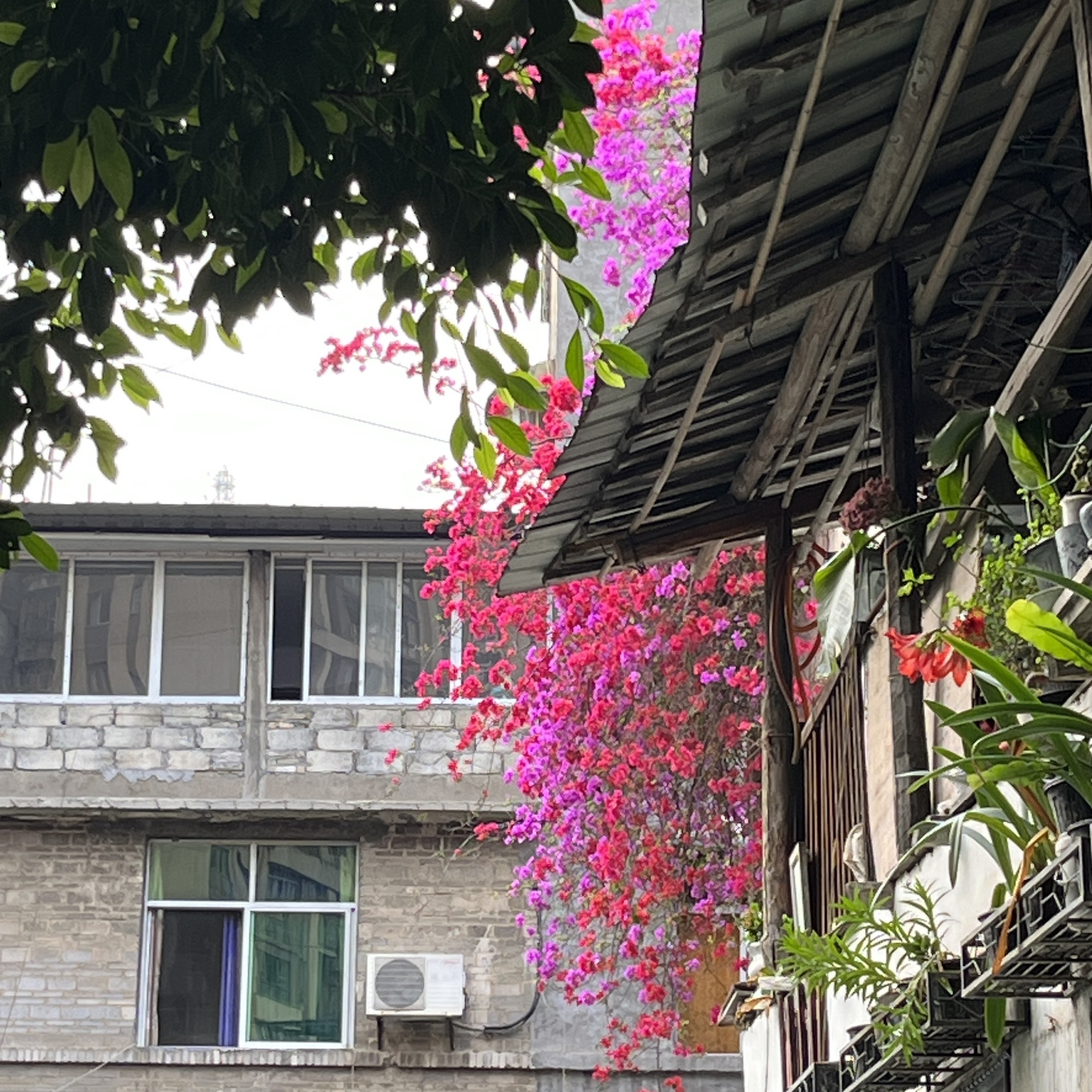 武隆世纪广场旅行图片 1