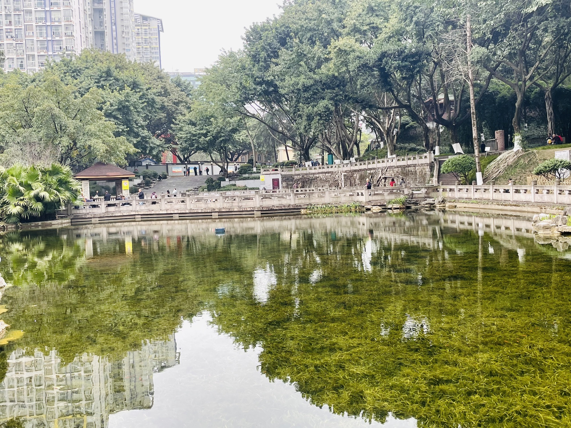 渝高公园旅行图片 3