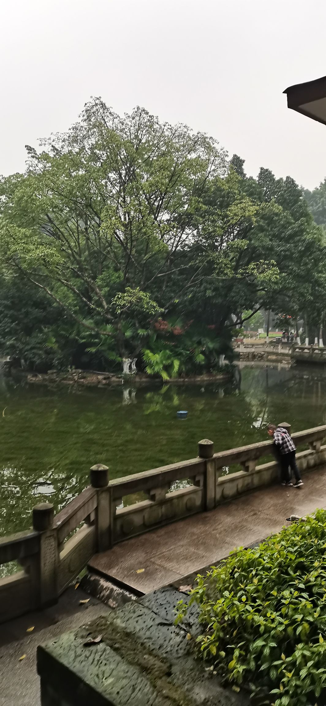 渝高公园旅行图片 3