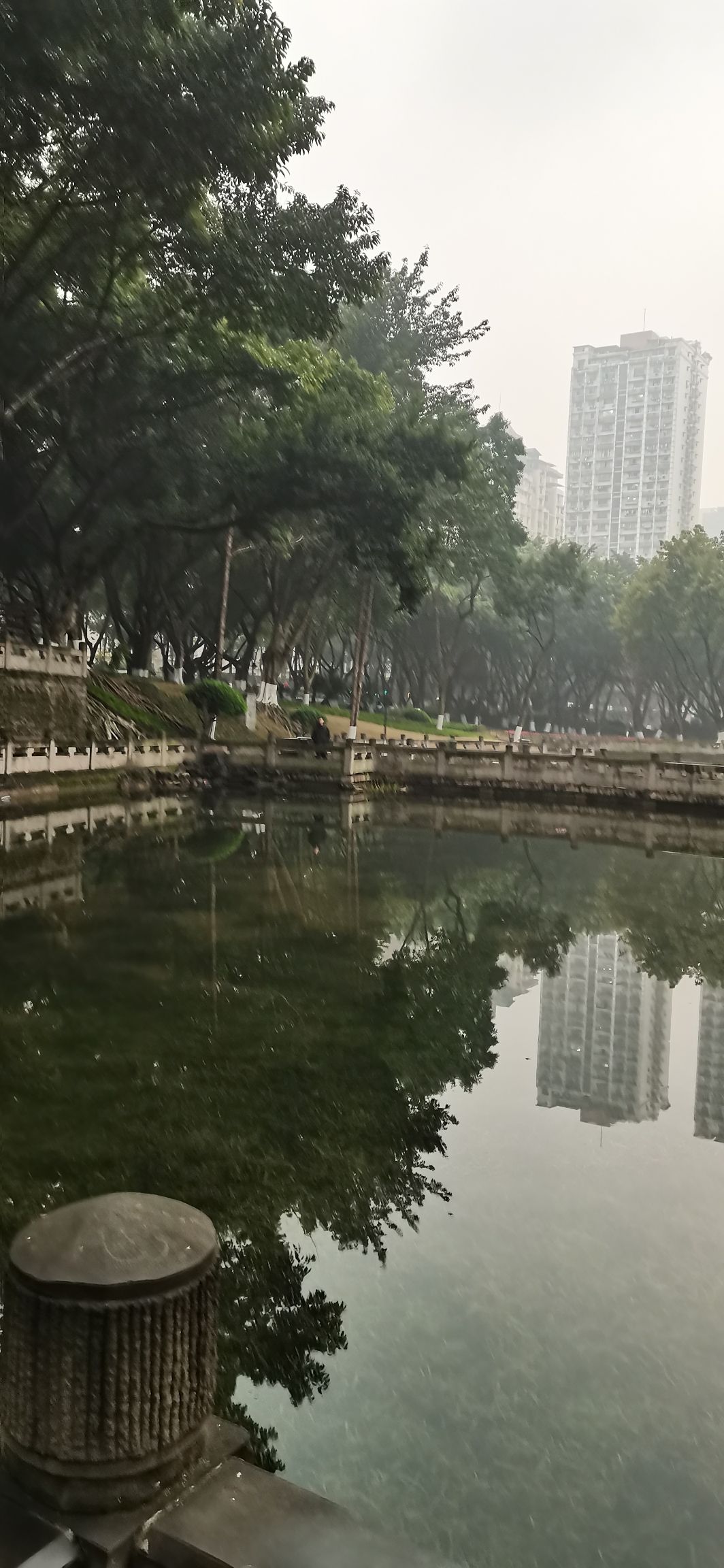 渝高公园旅行图片 1