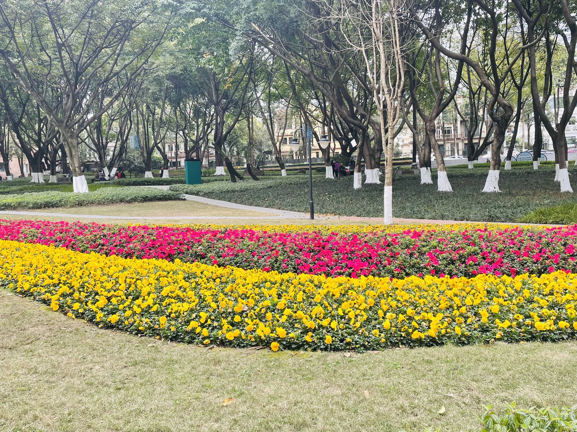 渝高公园旅行图片 2