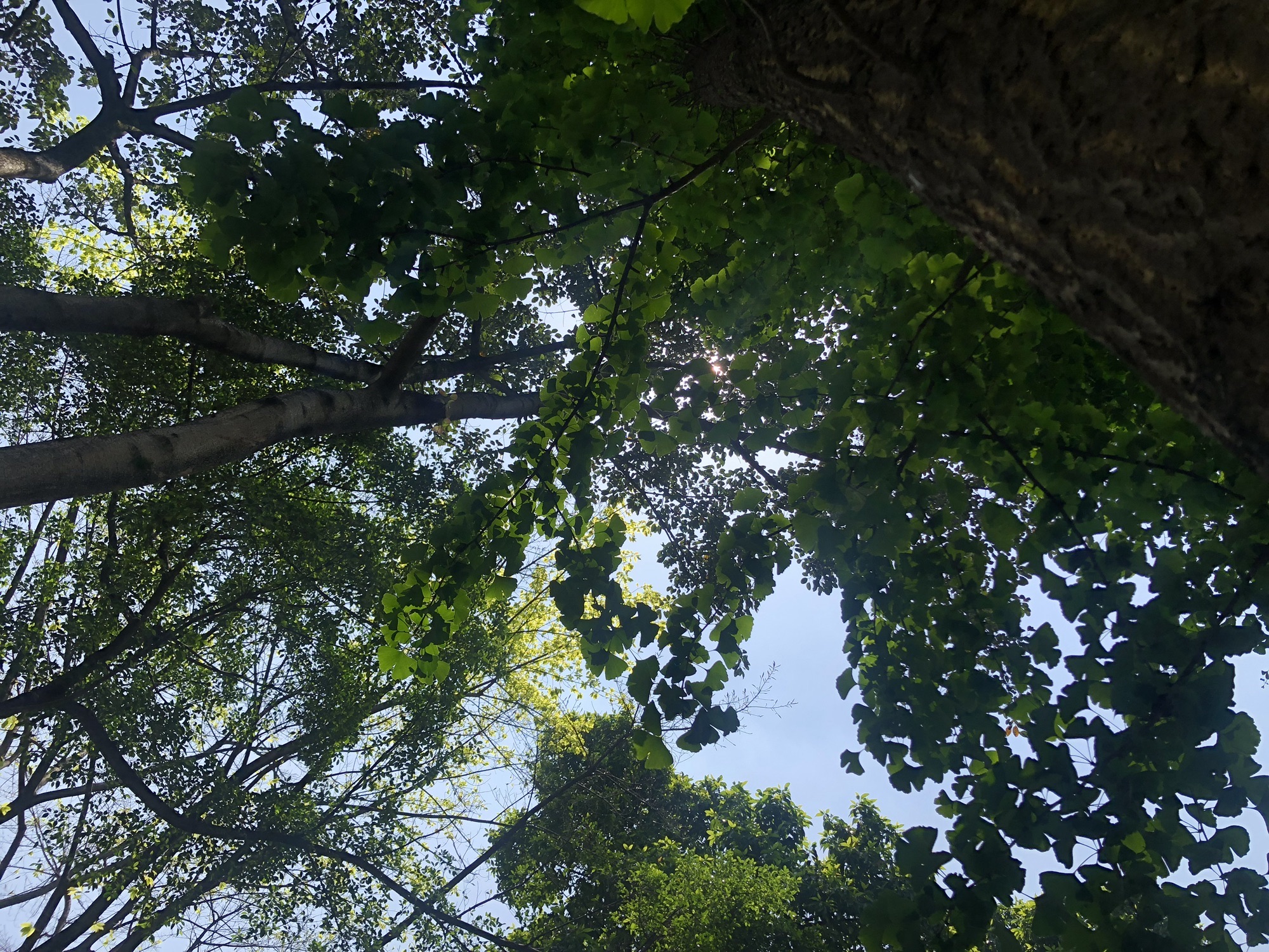 渝高公园旅行图片 3